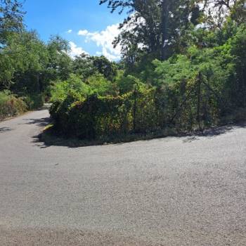 À vendre – Terrain de 927 m² à Saint-Leu – Idéal promoteur