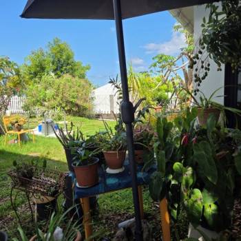 Appartement T4 et dépendance de 105 m² - Bois de Néfles