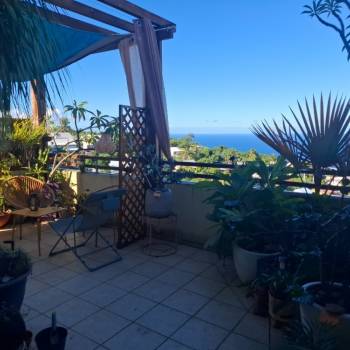 Très bel appartement F2 avec jardin et vue mer