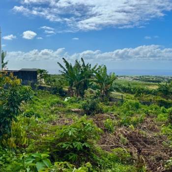 Terrain constructible 500m2 avec vue mer à Saint André