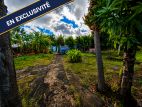 EXCLUSIVITÉ – Terrain constructible de 895 m² à SAINT-GILLES-LES-HAUTS